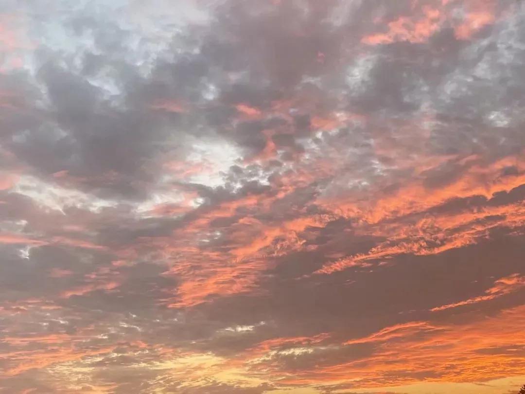 安徽省合肥师范学院2024招生简章,安徽省合肥师范学院今年投档线