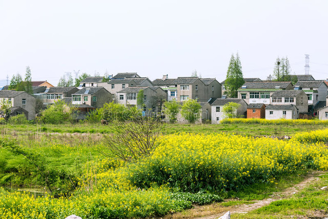 湖南女人追到东莞，找到湖北男人，老杨和李心怡能走到一起吗