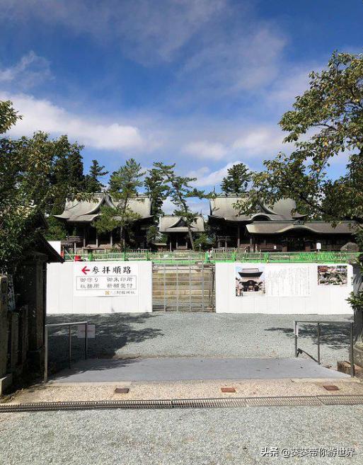 葵葵测评帕拉德,葵葵点评日本别府