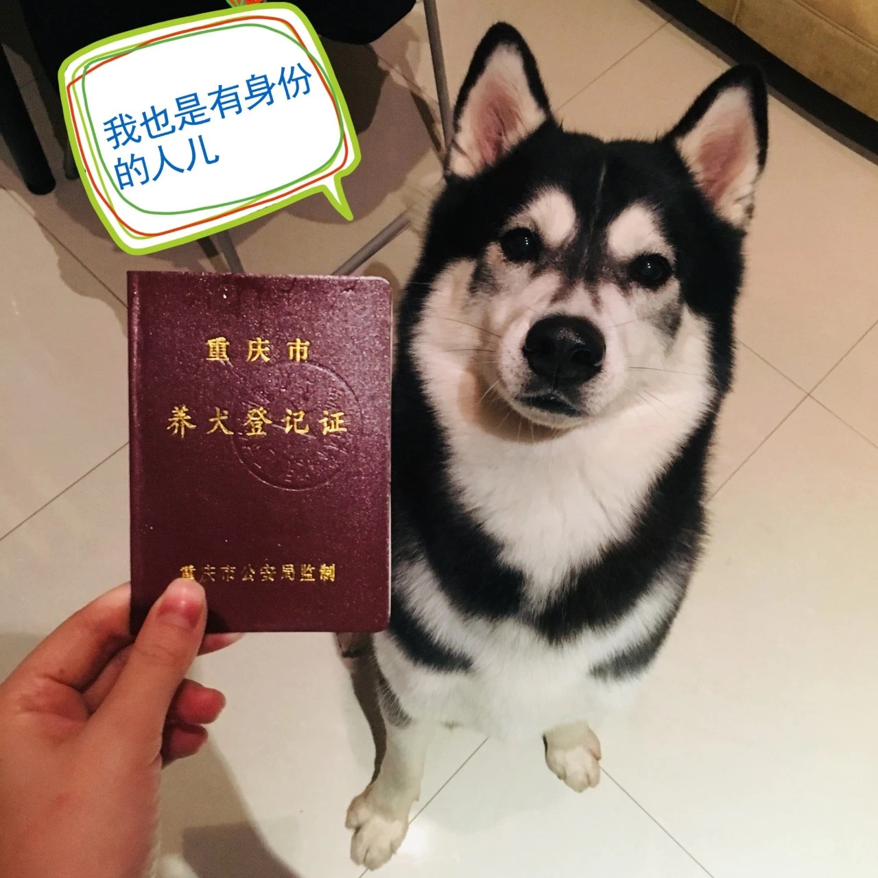 春节火车上可以带香肠腊肉吗,春节火车上能不能带腊肉香肠