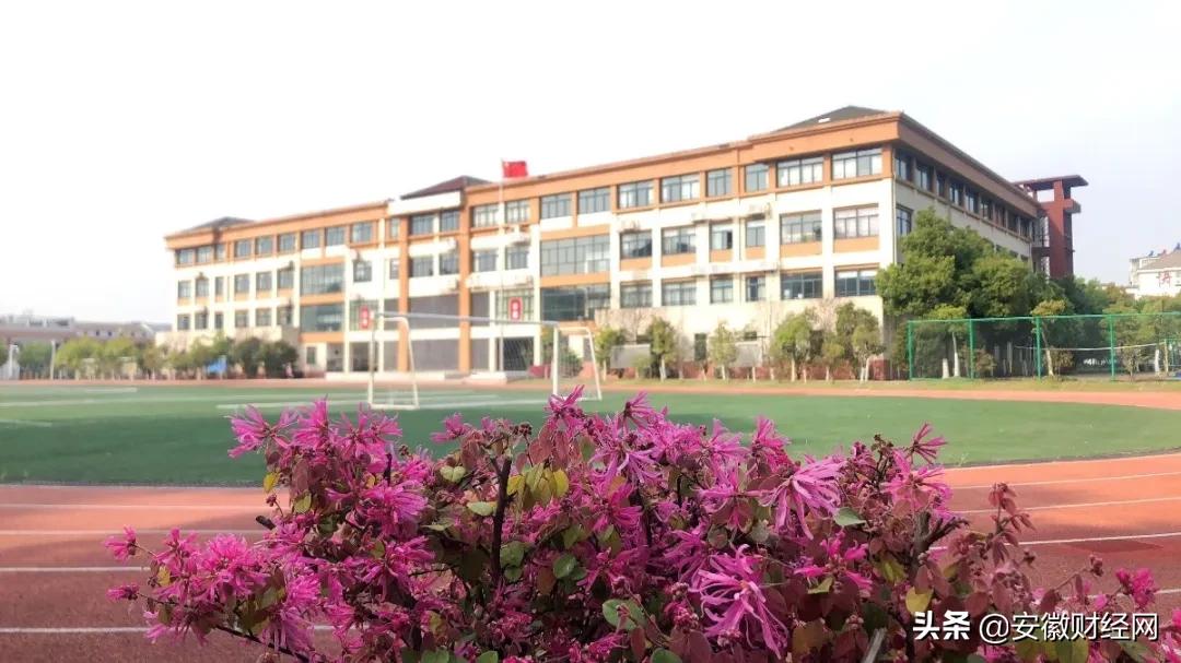 花都开好了现场完整版,花都开好了合唱合拍