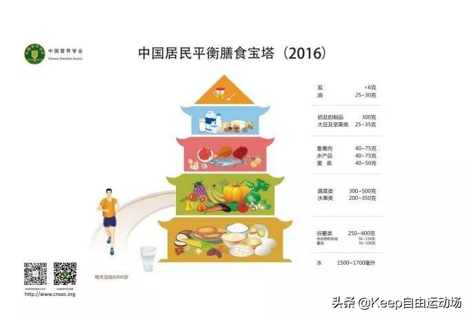 成功瘦身的7大营养素,成功减肥的七大营养素