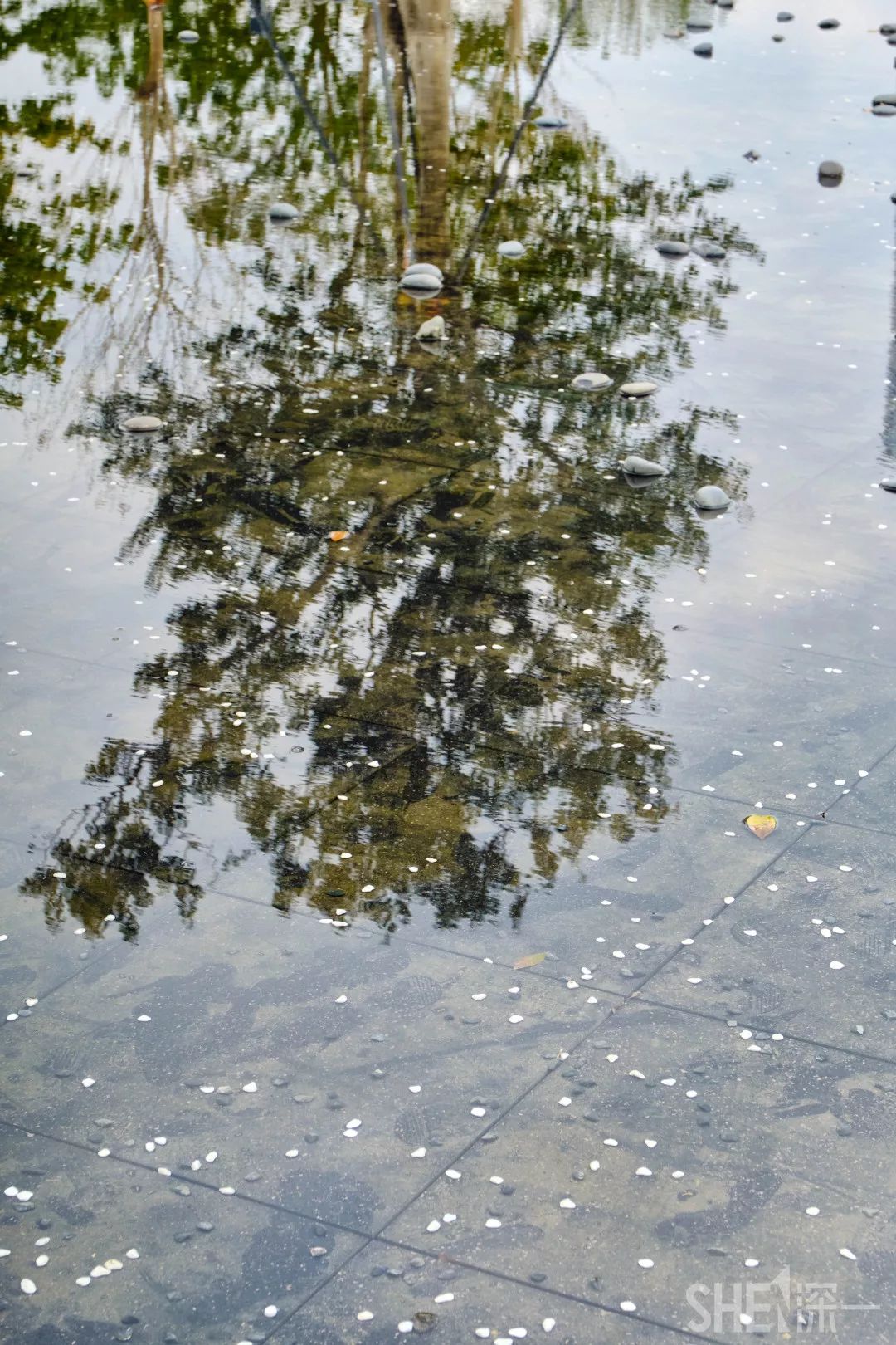 深圳龙华公园对外开放了吗,深圳市龙华新开的公园