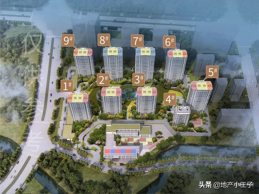 2019年摇红盘,摇不到的红盘