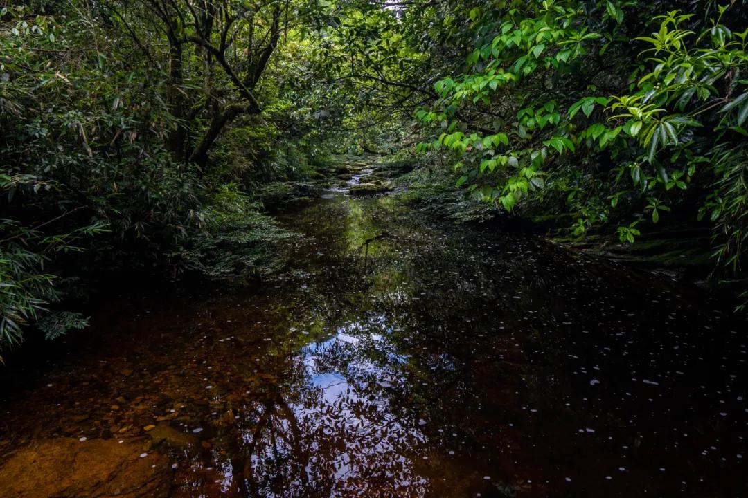 大明山风景区怎么玩划算,大明山五一游玩