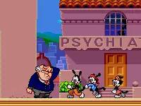 md战棋游戏,md双人游戏