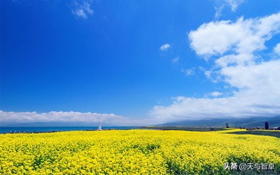 大美青海探秘西部,大美青海遥远的青海