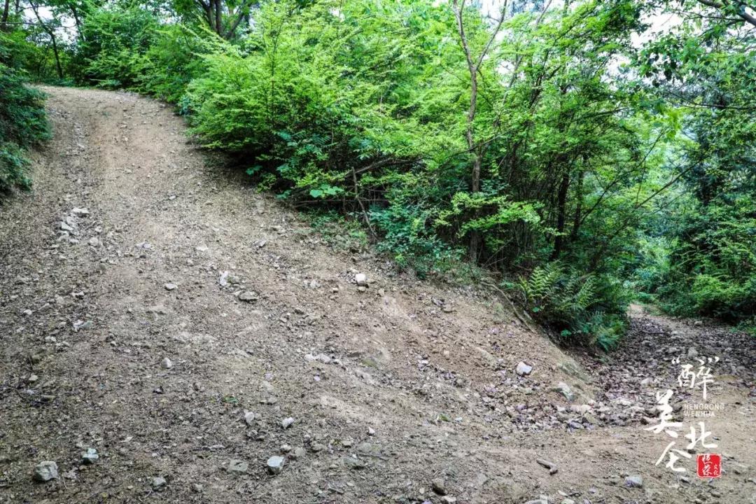 北仑摩天轮俯瞰北仑,可俯瞰北仑