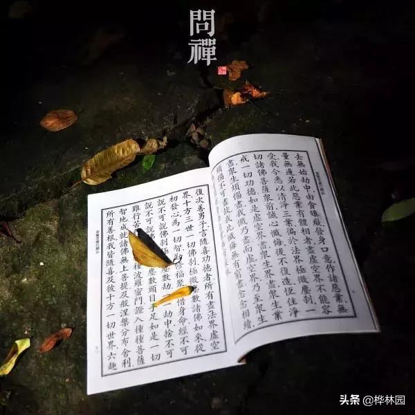 命运很悲惨怎么改命,命硬的人怎么改变运势