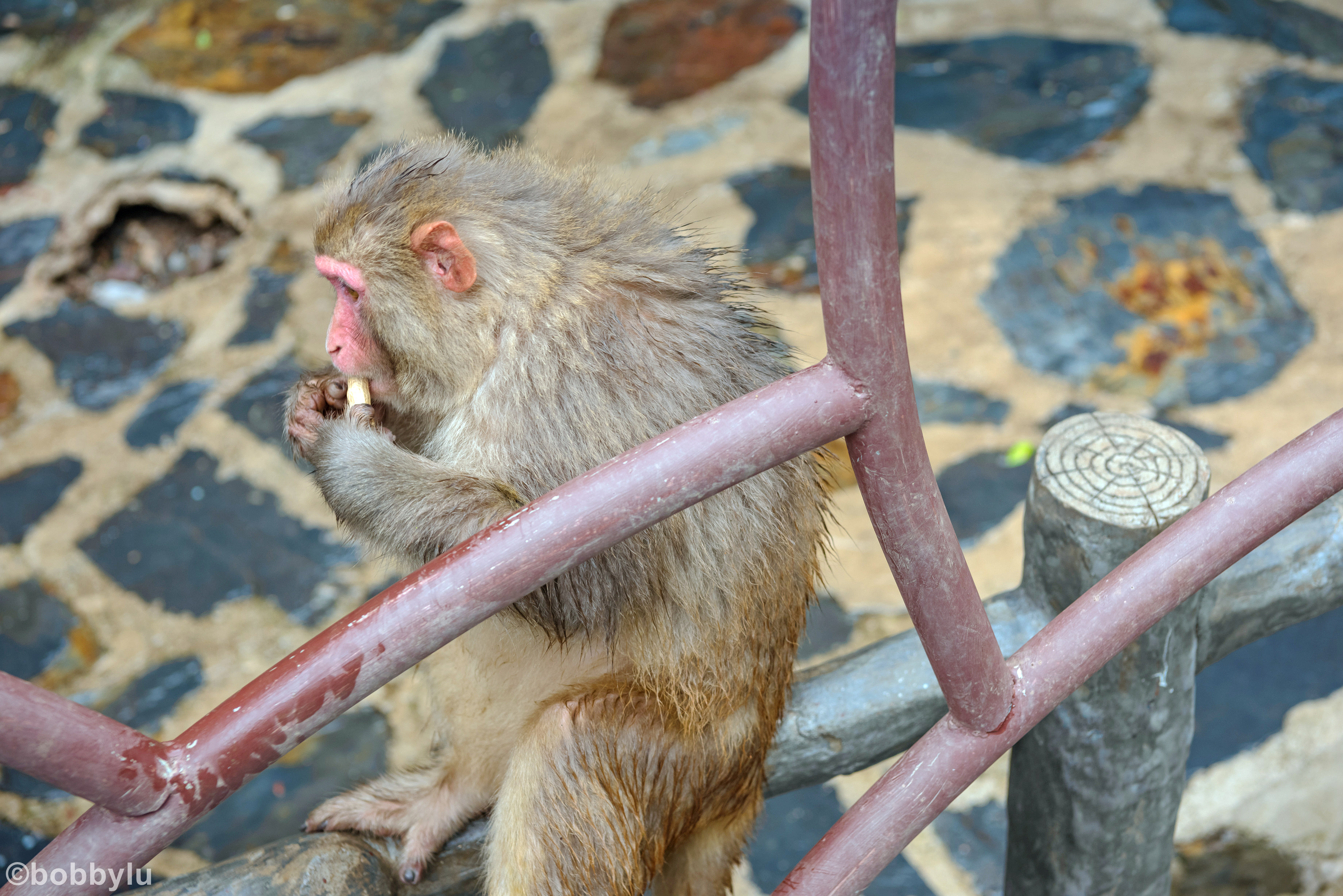 隐藏在深山里的网红景点,隐藏深山古村堪称世外桃源