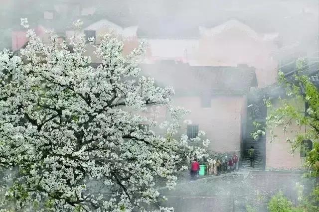 成语词典怎么查成语,最好的成语词典是什么