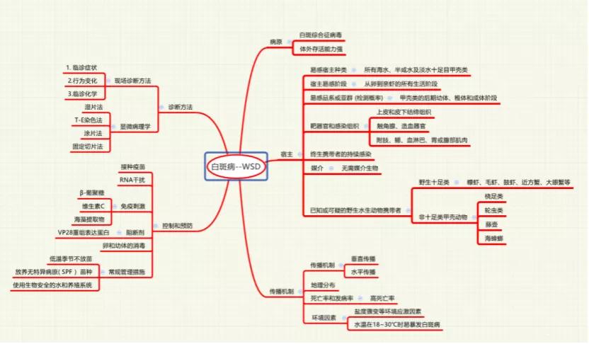 鱼白斑病是什么原因导致的,鱼病知识