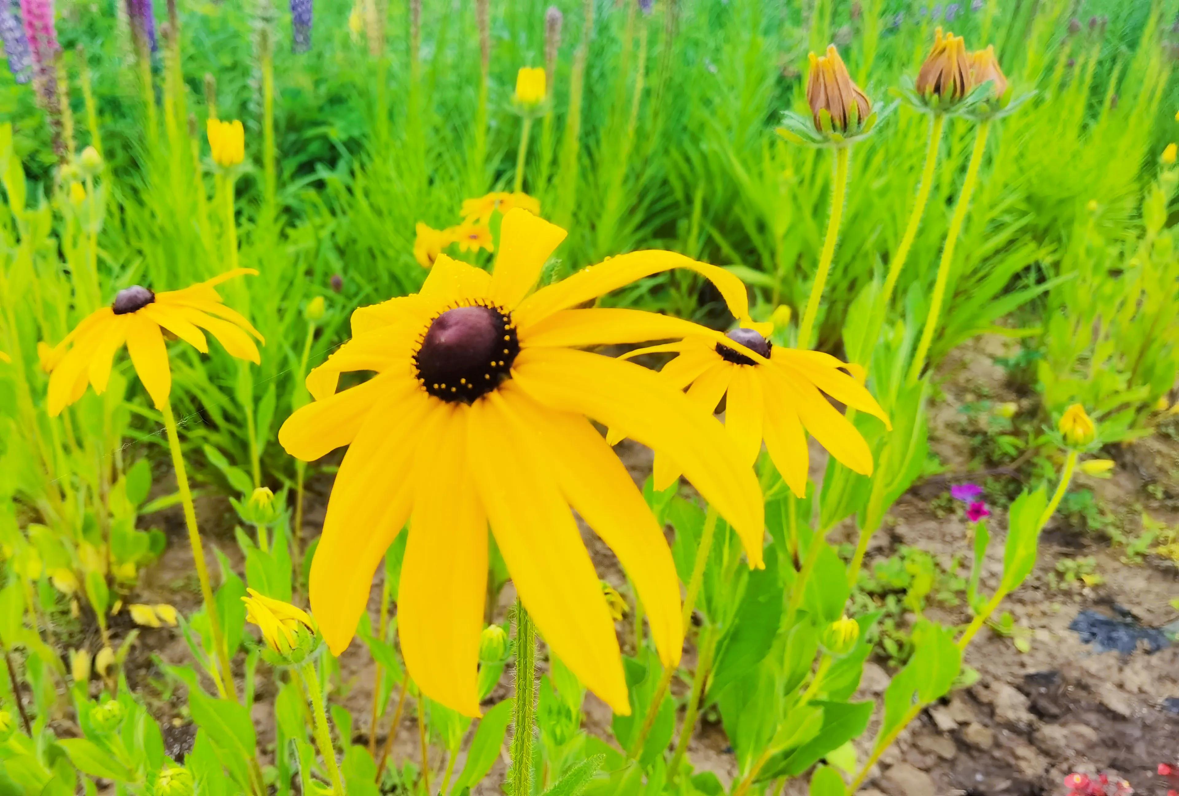 讲好家乡故事助力乡村振兴,讲好乡村振兴故事由哪个部门负责