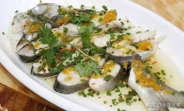 深圳南澳都有哪些海鱼,南澳海常见的海鱼