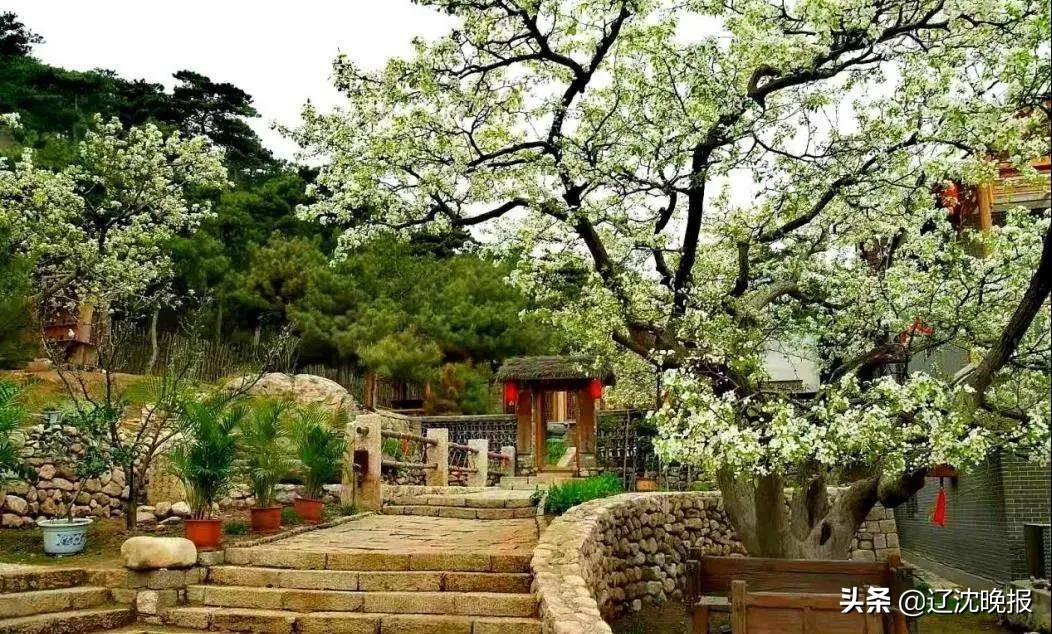 辽宁十大赏花景点,五一观花辽宁新去处