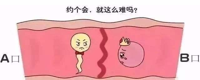 输卵管堵塞手术可以报医保吗,输卵管堵塞吃药还是手术