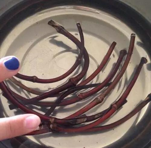 鸡血藤手镯是什么东西制作的,鸡血藤手镯用的是根部还是枝干