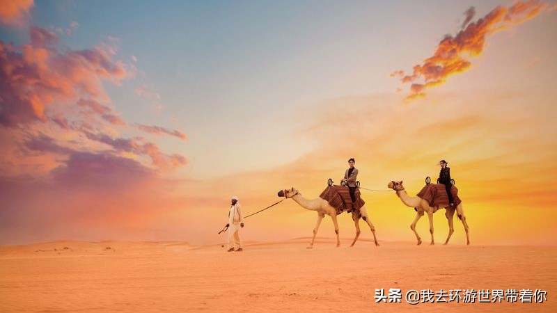 霸气的外貌下有个温柔的内心,霸气的背后隐藏着温柔和可爱