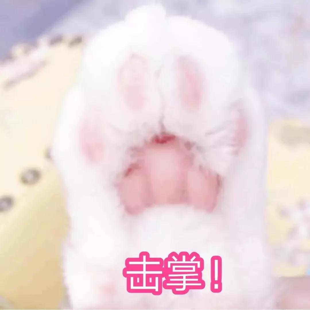 猫德动物医院治猫瘟,福懋动物医院好不好