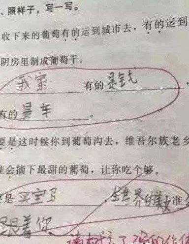 最懒小学生造句完整版,最懒小学生搞笑的造句