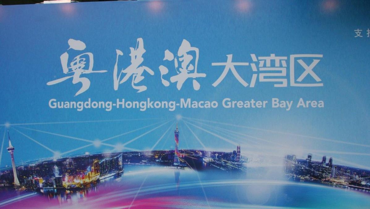 陈志敏访谈,陈志敏书法慢速书写