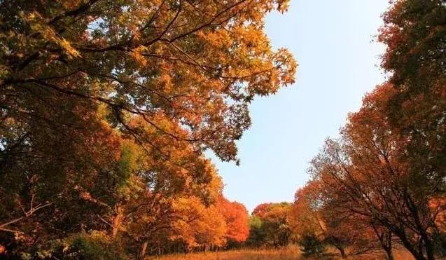 五一免门票景区吉林,十一吉林市景区免门票