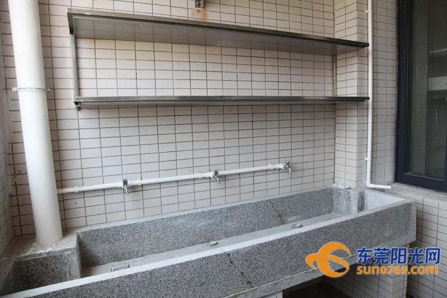 东莞这两年新增的公立学校,东莞市新增公办学校分布在哪里