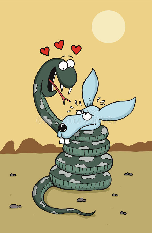 4米巨蟒吞袋鼠,巨蟒吞羊过程