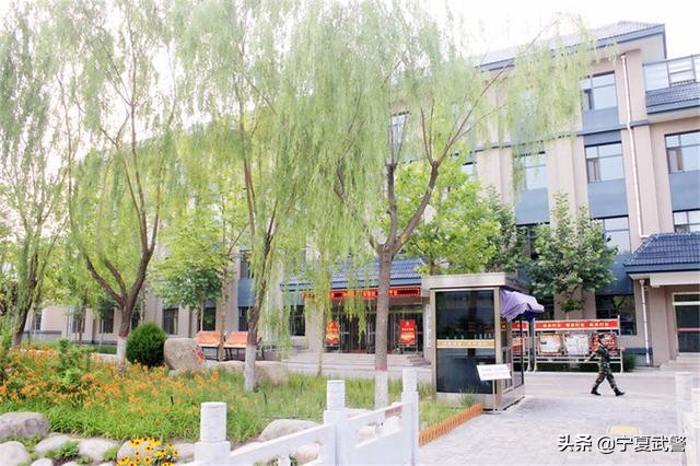 部队想留留不下为什么,部队很苦怎么办