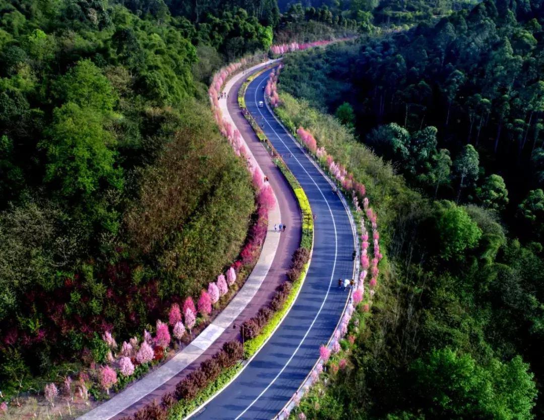 乐山市生态文明,庆祝新中国成立70周年特辑宣讲