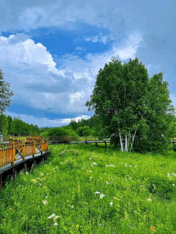 暑假内蒙古旅游攻略亲子,暑假亲子游玩内蒙古5天4夜