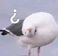 lv饰品和香奈儿,lv与香奈儿哪个更高端