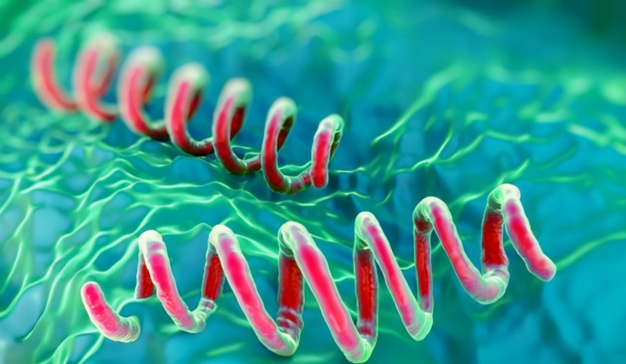 历史上梅毒,梅毒的来源历史