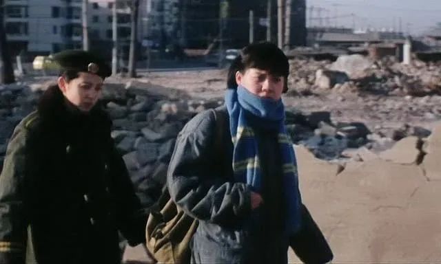 李冰冰警察电影老片子,李冰冰国产电影