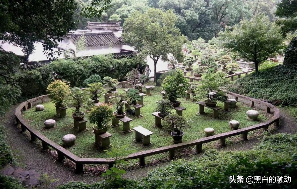 苏州除了拙政园还有哪个园林最好,苏州哪个园林最值得游玩