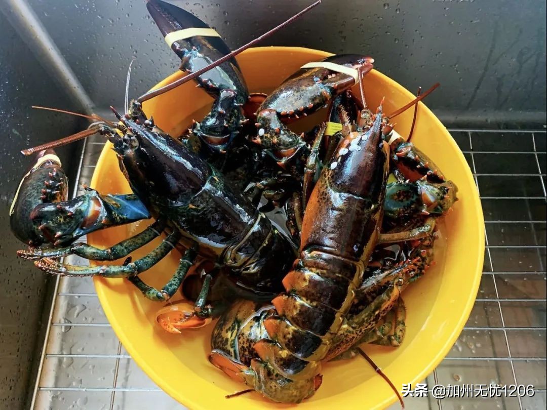 美国确诊超481万,美国确诊病例超115万例