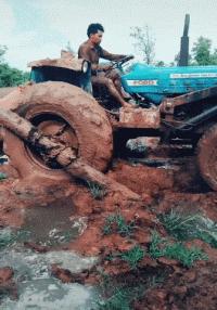 小短腿猫搞笑gif图,搞笑gif段子最后这只猫也太萌了吧