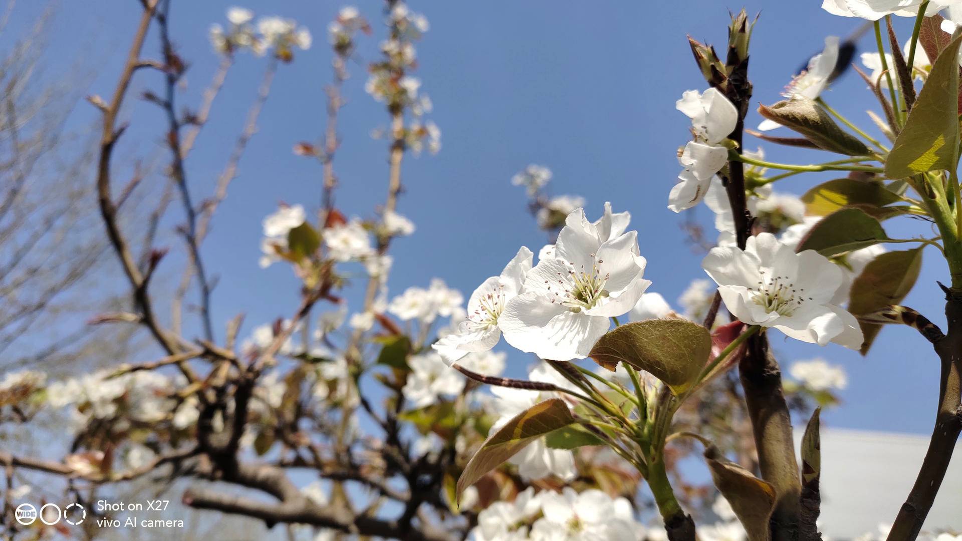 vivox27搭配零界全面屏设计,vivo最美旗舰手机x27全方面解析