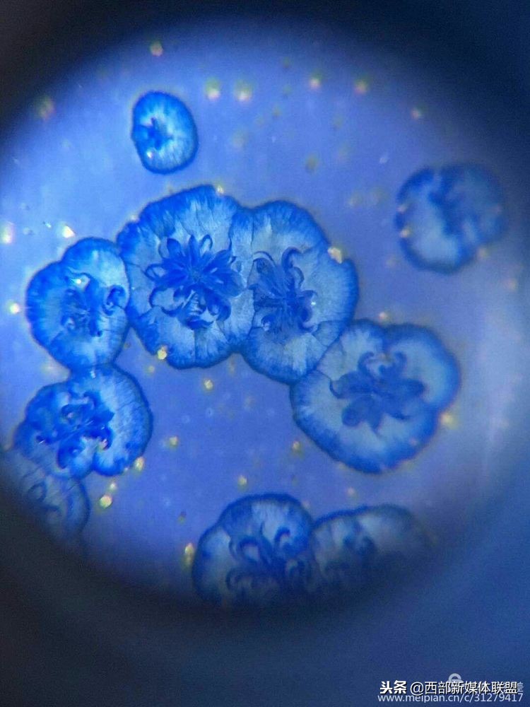 华宁年轻人多的地方,华宁县的人怎么样