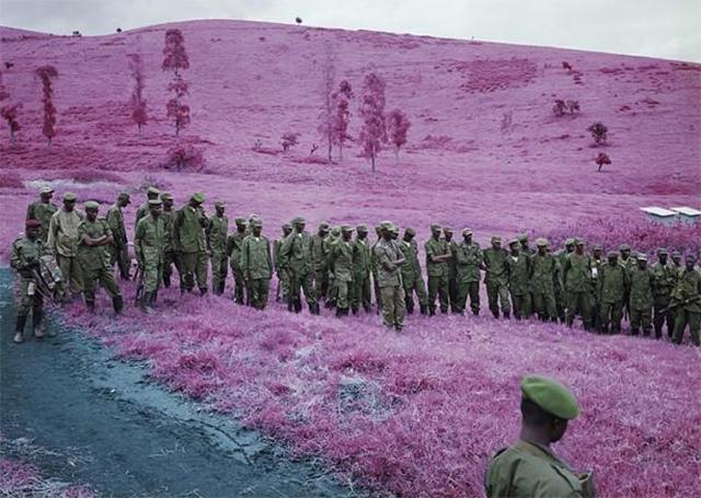 被上帝遗忘的国家,被上帝遗忘的刚果