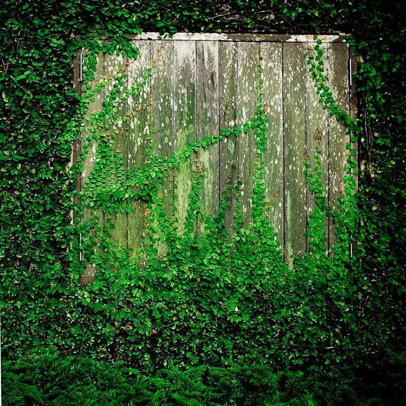 红色婚礼主题风格高级,粉色婚礼主题风格