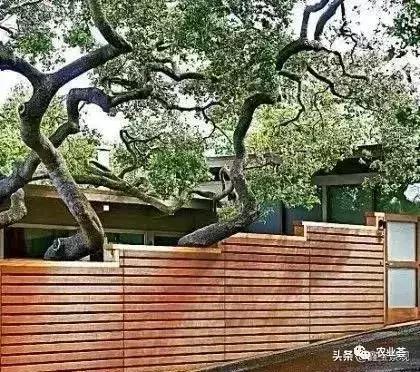 庭院景观设计最佳布局,庭院花园景观风水设计