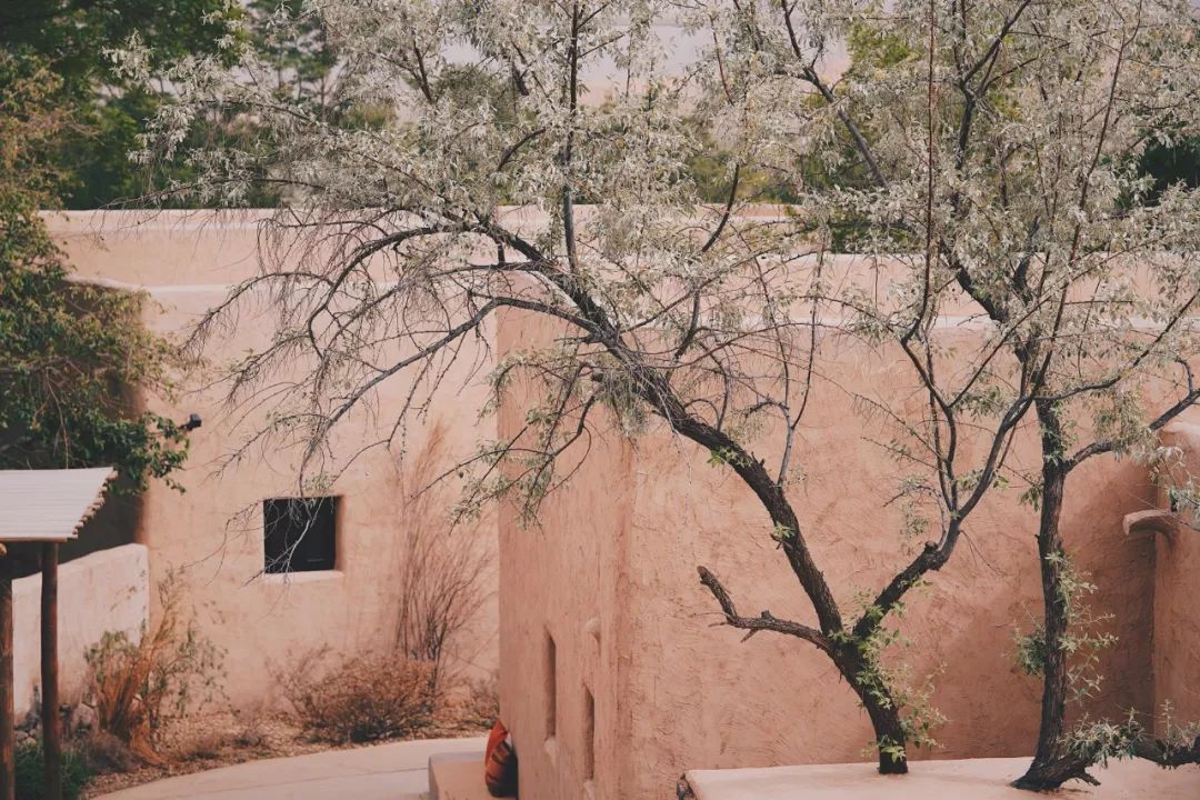 可盐可甜是哪首歌的歌词,可盐可甜出自哪