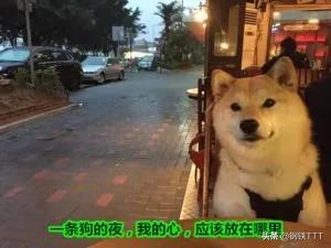 日本宅男平时怎么生活,日本宅男都做什么