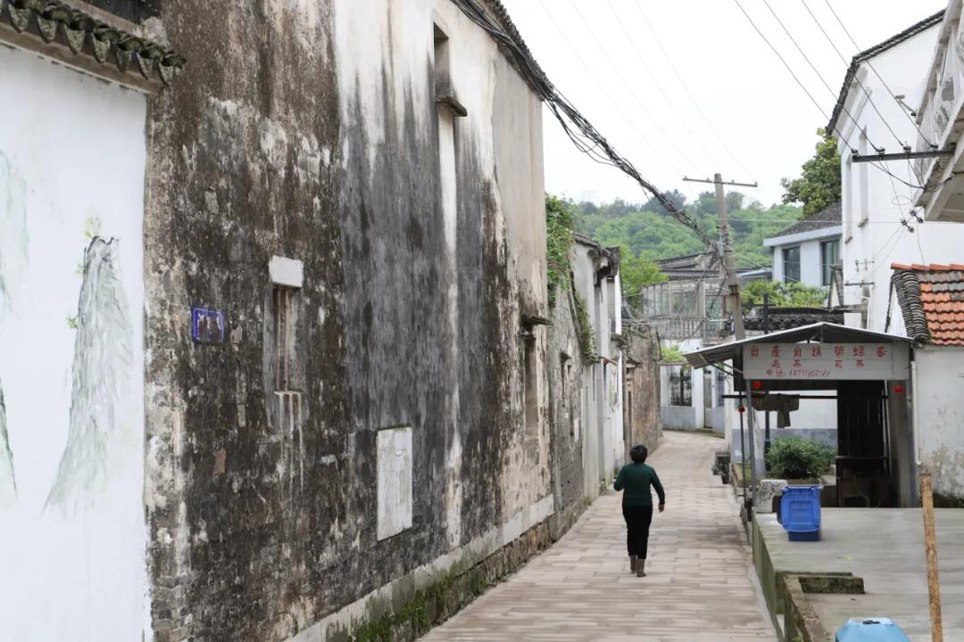 苏州旅游攻略元旦适合去吗,元旦旅游推荐苏州周边景点