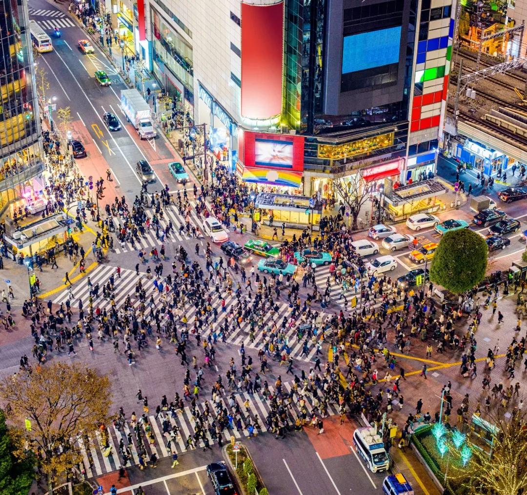 日本有过革命史吗,日本有过什么革命