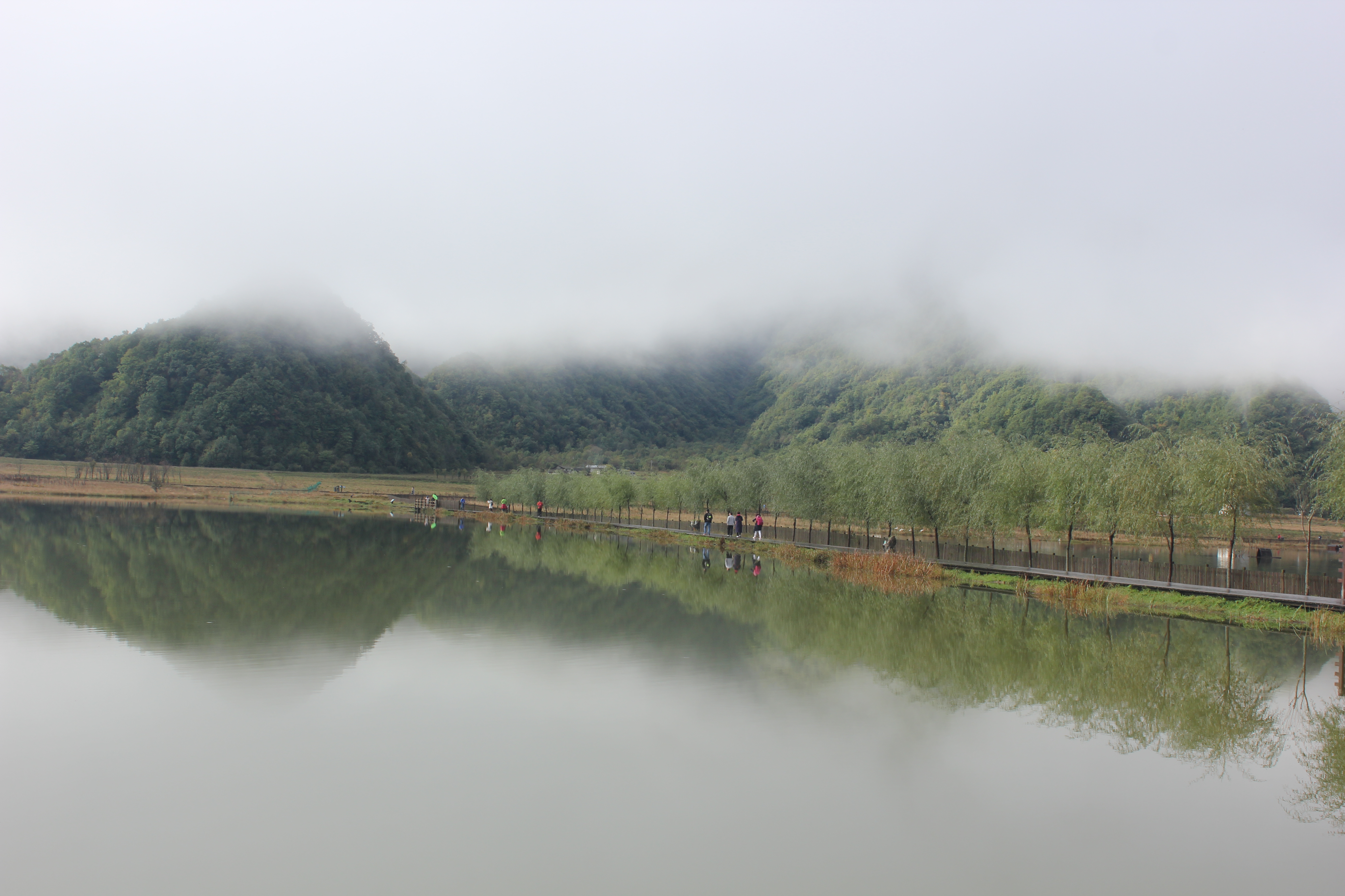 雨中神农架探秘之旅｜国庆节武汉至神农架自驾游攻略分享