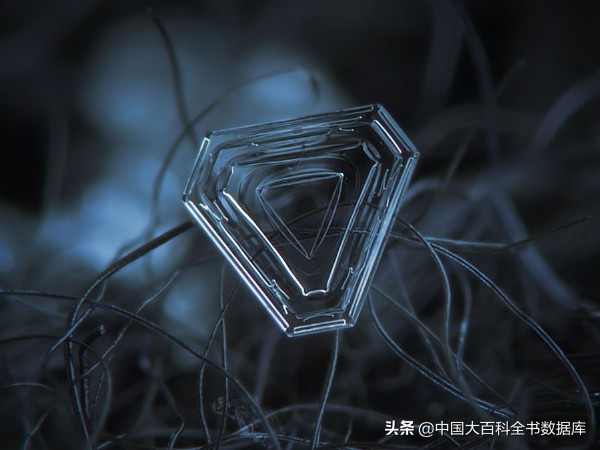 每一片飘落的雪花都是记忆,每一片飘落的雪花都是独一无二的