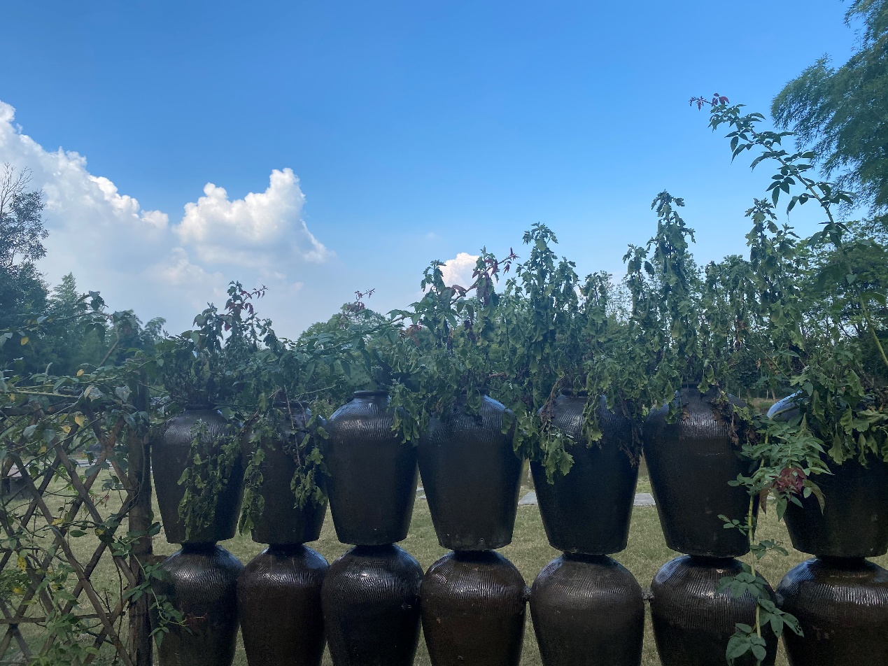 星空露营附近,星空露营地烧烤