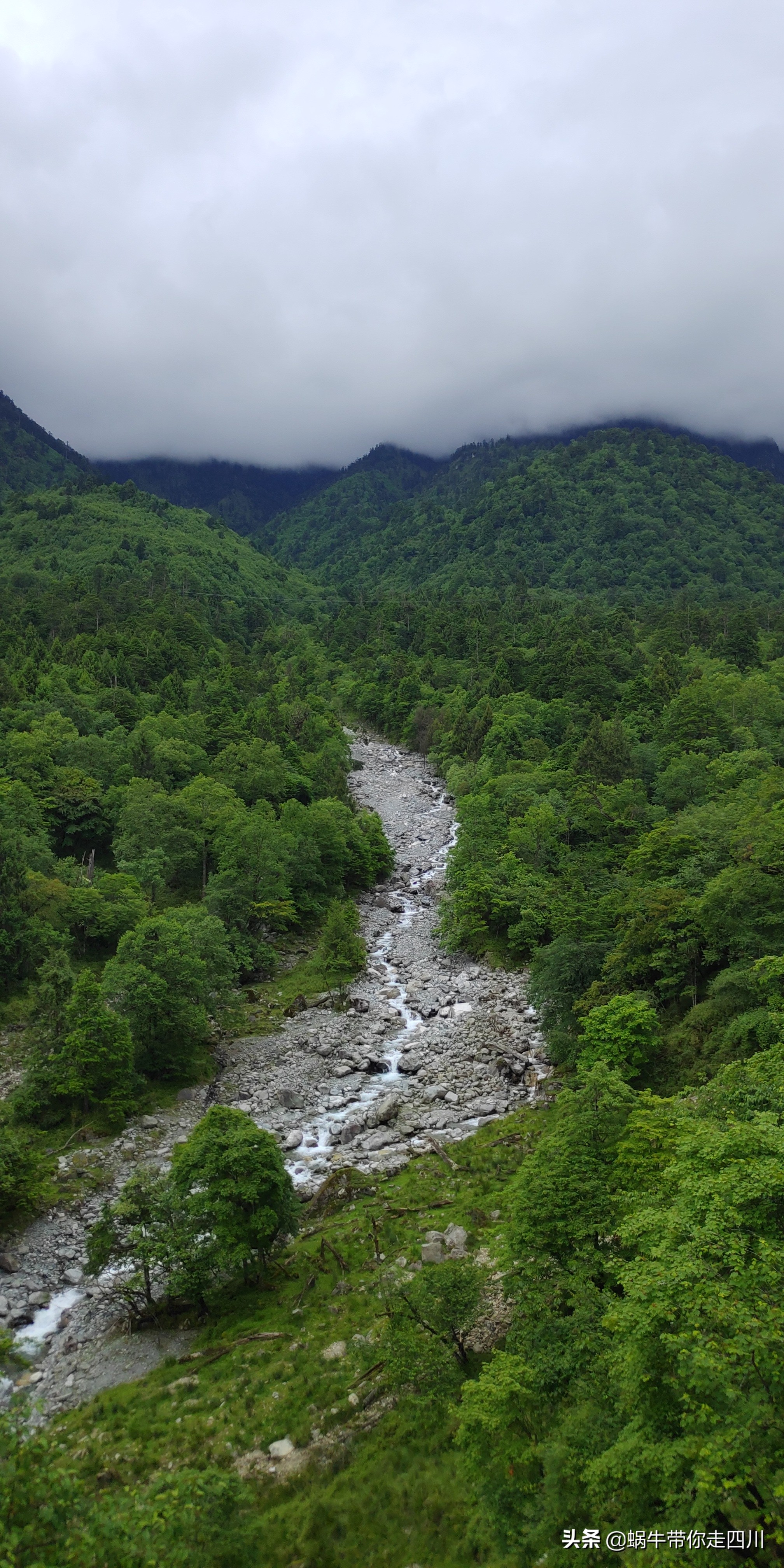 一家三口重庆到拉萨旅游攻略预算,一家三口成都去拉萨大概要多少钱